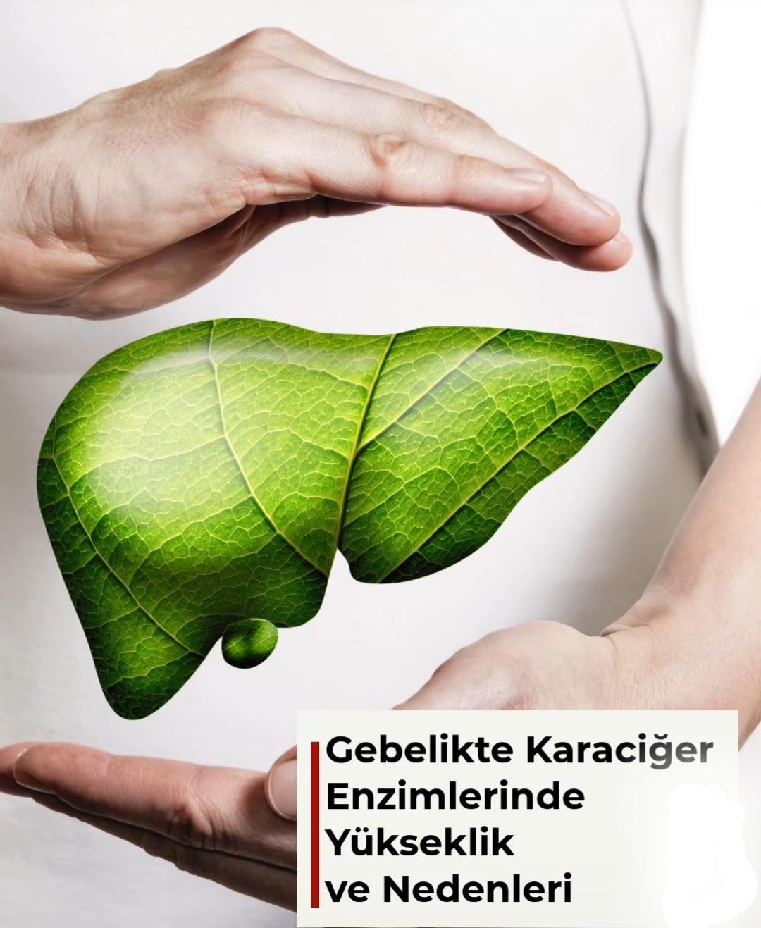  Gebelikte Karaciğer Enzimlerinde Yükseklik ve Nedenleri?